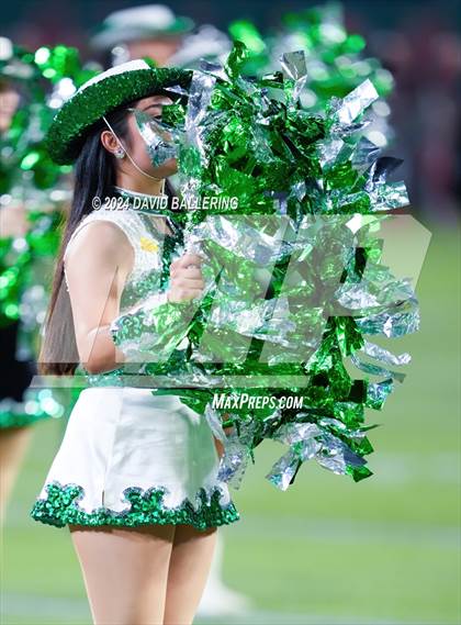 Thumbnail 3 in Marcus @ Arlington photogallery.