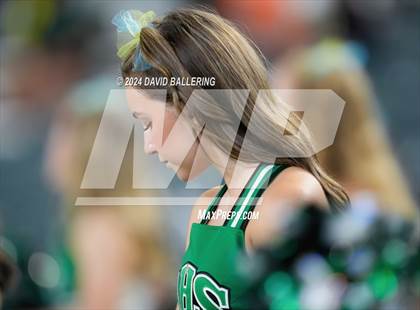 Thumbnail 2 in Marcus @ Arlington photogallery.