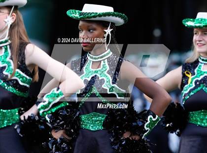 Thumbnail 3 in Marcus @ Arlington photogallery.