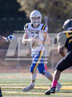 Photo from the gallery "Cloverdale @ Novato"