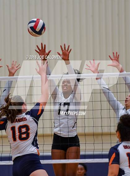 Thumbnail 1 in Brandeis vs Brennan photogallery.