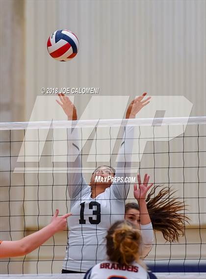 Thumbnail 1 in Brandeis vs Brennan photogallery.