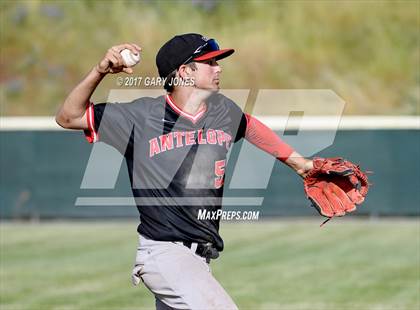 Thumbnail 3 in Antelope @ Whitney photogallery.
