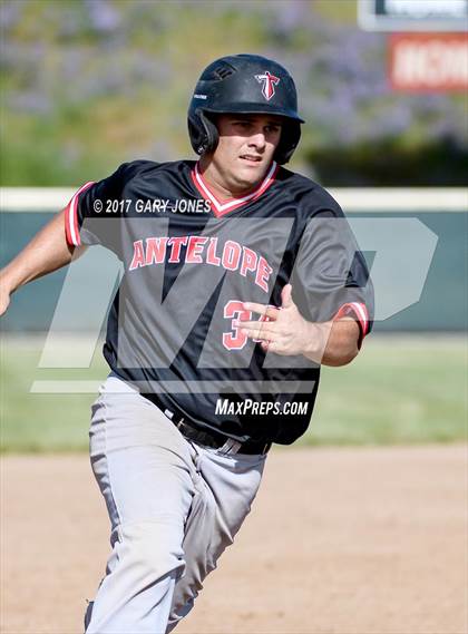 Thumbnail 1 in Antelope @ Whitney photogallery.
