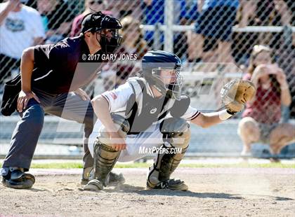 Thumbnail 2 in Antelope @ Whitney photogallery.