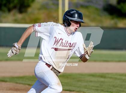Thumbnail 3 in Antelope @ Whitney photogallery.