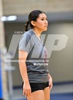 Photo from the gallery "Marshall @ Clark"
