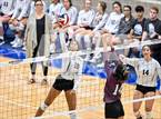 Photo from the gallery "Marshall @ Clark"