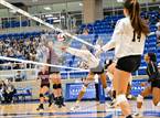 Photo from the gallery "Marshall @ Clark"