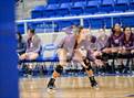 Photo from the gallery "Marshall @ Clark"