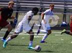 Photo from the gallery "Danville @ Northview"