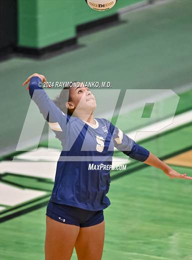 null - Photo 11