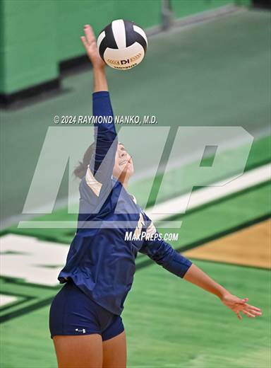 null - Photo 01