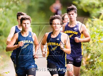 Thumbnail 3 in Brookline, Dedham, Milton @ Needham photogallery.