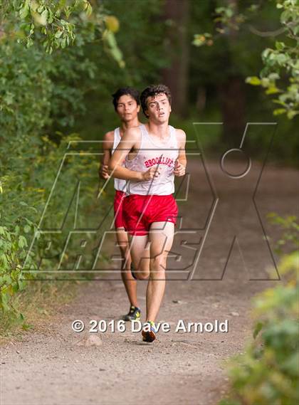 Thumbnail 2 in Brookline, Dedham, Milton @ Needham photogallery.