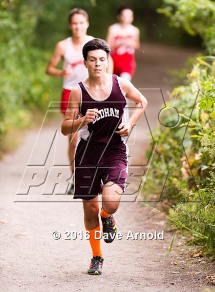 Thumbnail 1 in Brookline, Dedham, Milton @ Needham photogallery.