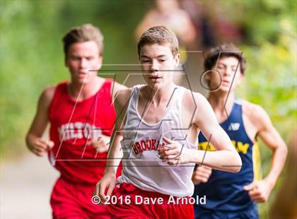 Thumbnail 2 in Brookline, Dedham, Milton @ Needham photogallery.