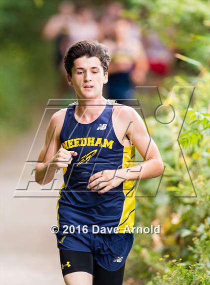 Thumbnail 2 in Brookline, Dedham, Milton @ Needham photogallery.