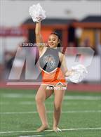 Photo from the gallery "Douglas @ Fernley"