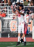Photo from the gallery "Douglas @ Fernley"