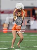 Photo from the gallery "Douglas @ Fernley"