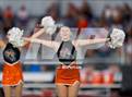 Photo from the gallery "Douglas @ Fernley"