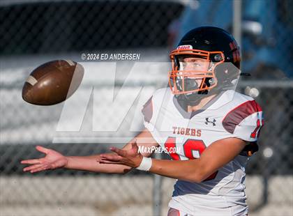 Thumbnail 2 in Douglas @ Fernley photogallery.