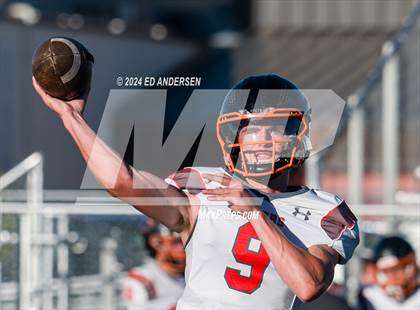 Thumbnail 3 in Douglas @ Fernley photogallery.
