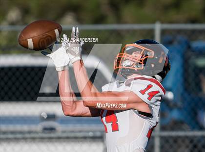 Thumbnail 3 in Douglas @ Fernley photogallery.