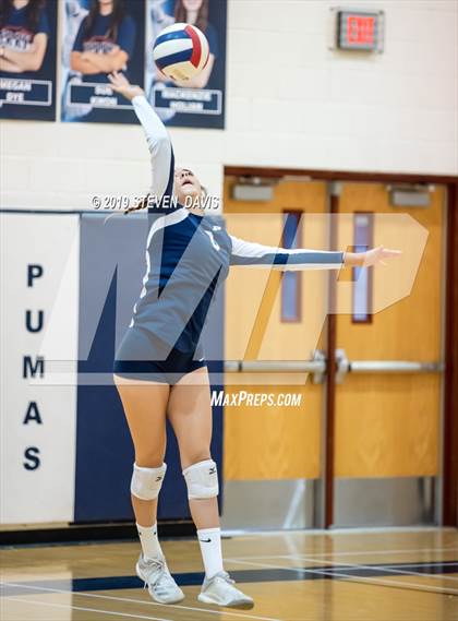 Thumbnail 3 in Hamilton vs Perry photogallery.