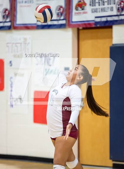 Thumbnail 3 in Hamilton vs Perry photogallery.