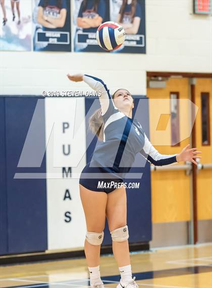 Thumbnail 2 in Hamilton vs Perry photogallery.