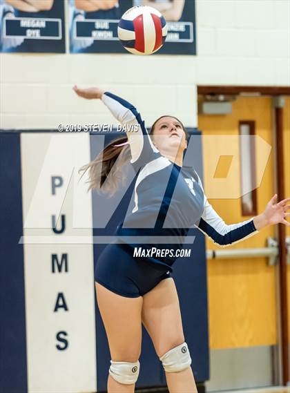 Thumbnail 1 in Hamilton vs Perry photogallery.