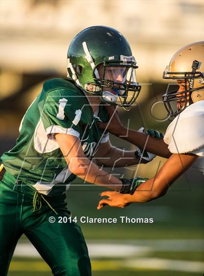 Thumbnail 2 in Skyline @ Loudoun Valley photogallery.