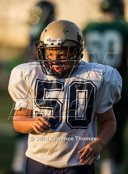 Thumbnail 2 in Skyline @ Loudoun Valley photogallery.