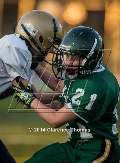 Thumbnail 3 in Skyline @ Loudoun Valley photogallery.