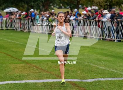 Thumbnail 1 in UIL Cross Country 6A Finals 5K photogallery.