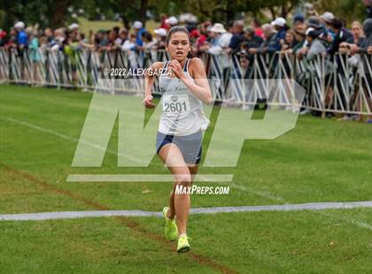 Thumbnail 2 in UIL Cross Country 6A Finals 5K photogallery.