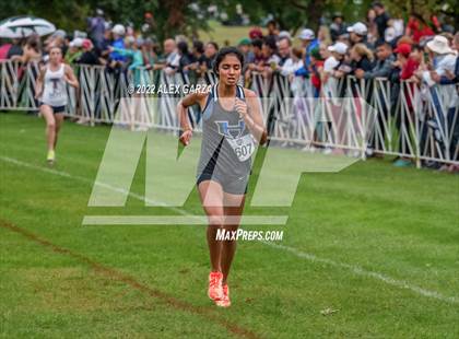 Thumbnail 1 in UIL Cross Country 6A Finals 5K photogallery.