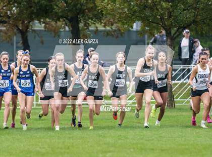 Thumbnail 1 in UIL Cross Country 6A Finals 5K photogallery.