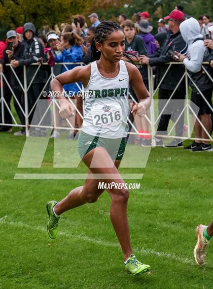 Thumbnail 1 in UIL Cross Country 6A Finals 5K photogallery.