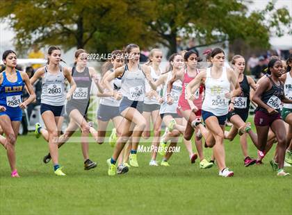 Thumbnail 2 in UIL Cross Country 6A Finals 5K photogallery.
