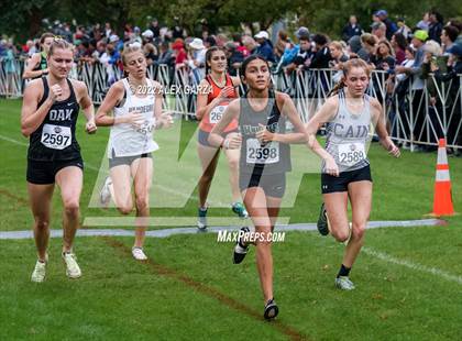 Thumbnail 3 in UIL Cross Country 6A Finals 5K photogallery.