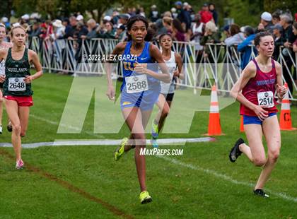 Thumbnail 2 in UIL Cross Country 6A Finals 5K photogallery.