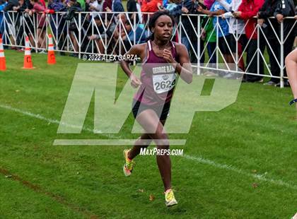 Thumbnail 3 in UIL Cross Country 6A Finals 5K photogallery.