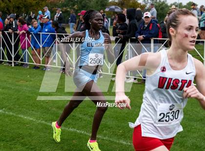 Thumbnail 2 in UIL Cross Country 6A Finals 5K photogallery.