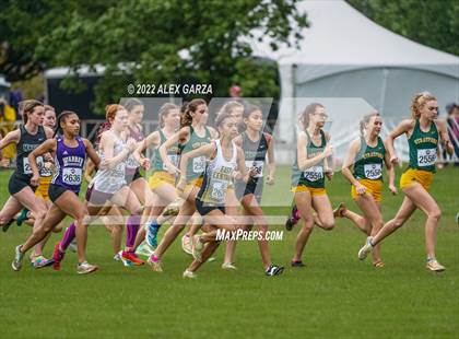 Thumbnail 2 in UIL Cross Country 6A Finals 5K photogallery.