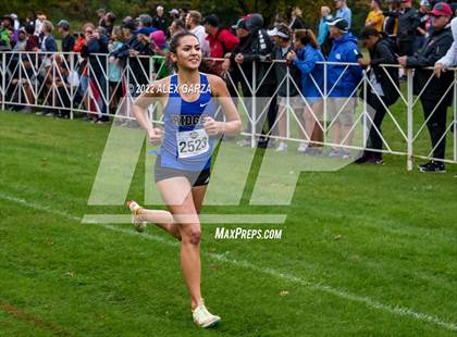 Thumbnail 1 in UIL Cross Country 6A Finals 5K photogallery.