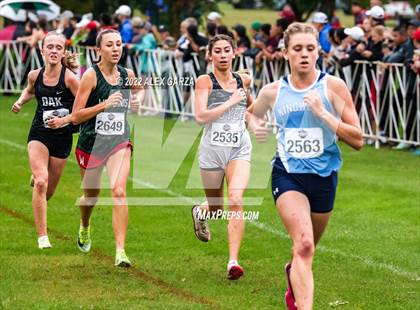Thumbnail 1 in UIL Cross Country 6A Finals 5K photogallery.