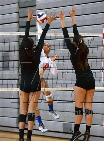 Thumbnail 2 in Los Alamitos vs. Archbishop Mitty (Durango Fall Classic) photogallery.